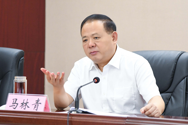 省政府食安辦主任、省市場監(jiān)管局書記馬林青講話